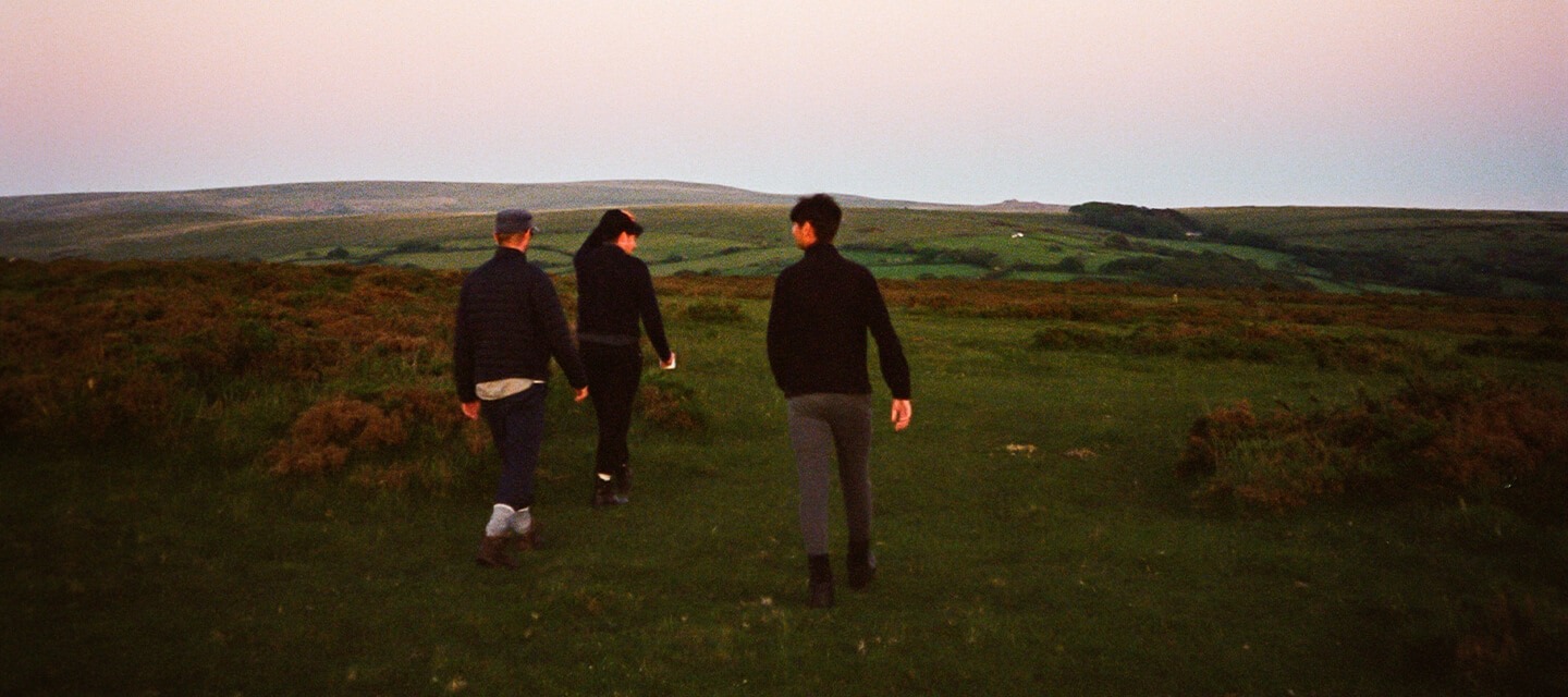 A field with poppies